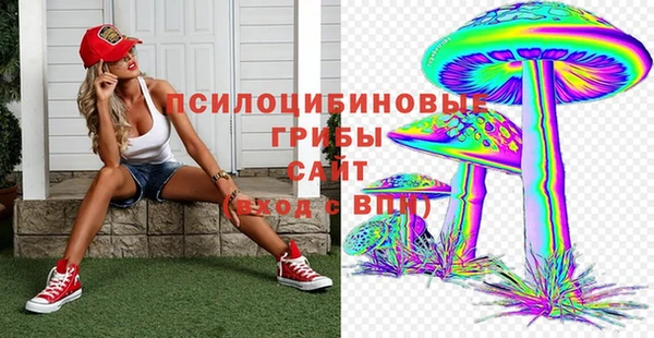 a pvp Абдулино