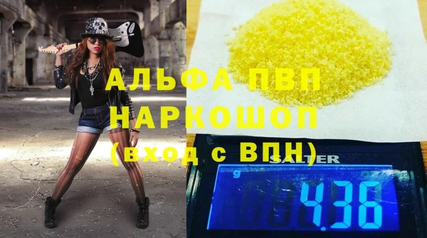 прущие грибы Переславль-Залесский