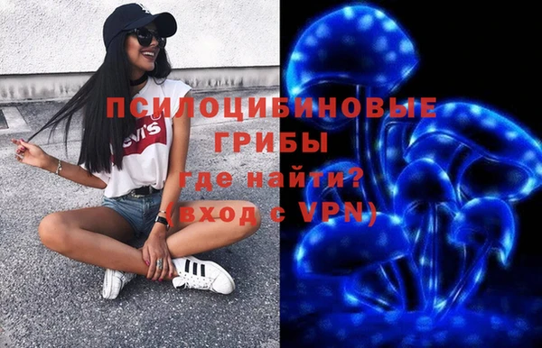 бошки Алексеевка