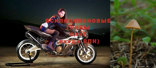 а пвп мука Абаза