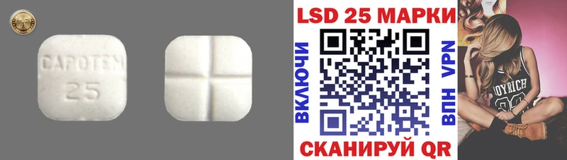 LSD-25 экстази ecstasy  Кедровый 