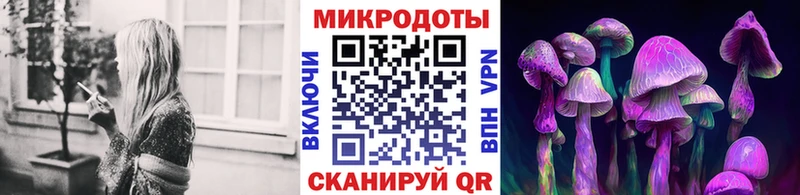 хочу наркоту  Кедровый  Псилоцибиновые грибы MAGIC MUSHROOMS 